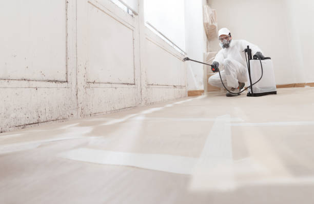24/7 Emergency Crawl Space Mold Removal experts in Allentown, PA
